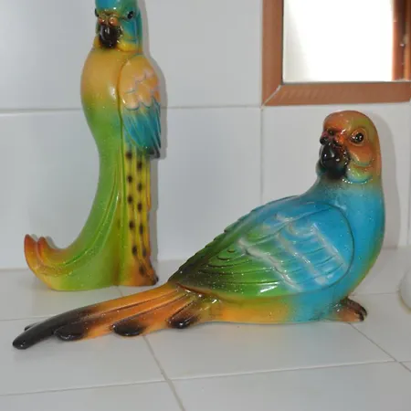 Sunday Every Day Privat bolig Olho Marinho